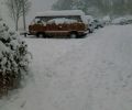 File allegato: