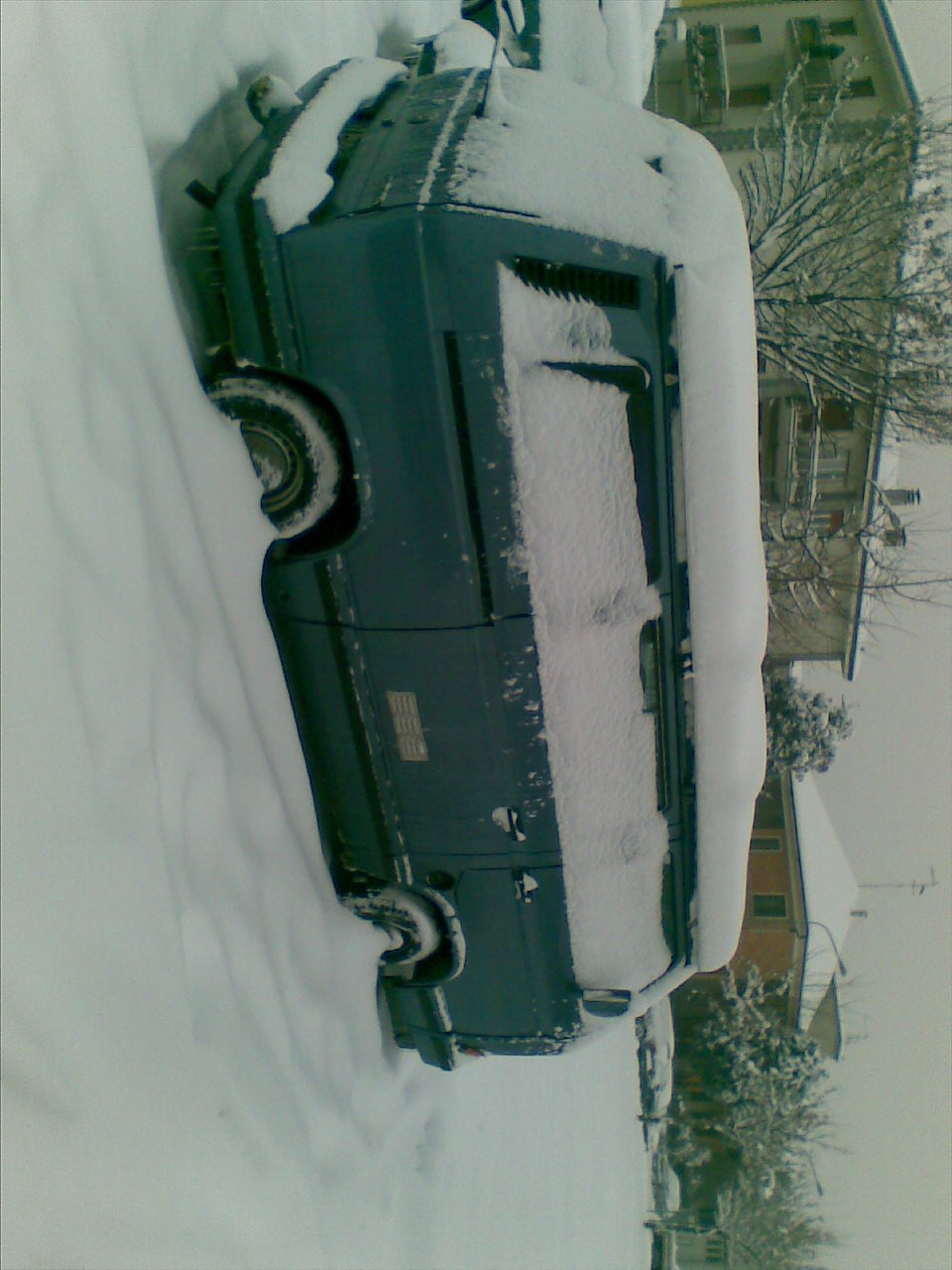 File allegato: