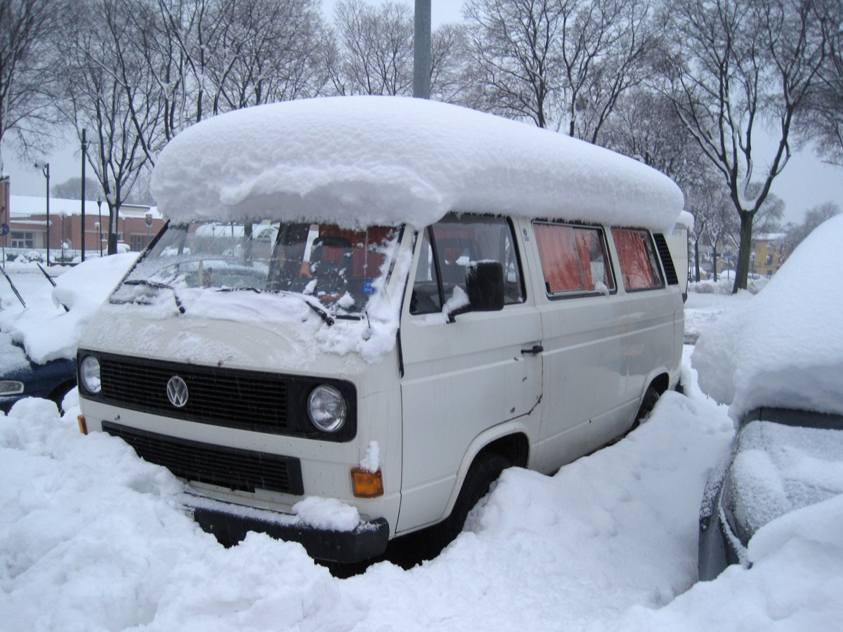File allegato:
