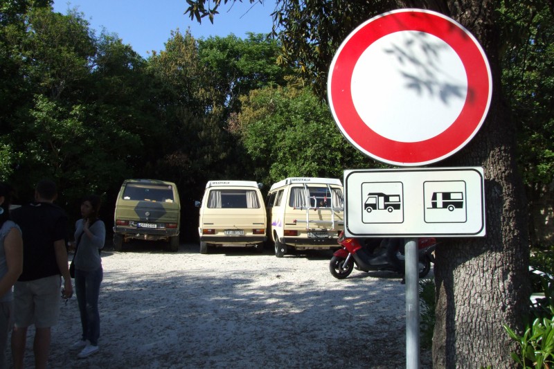 File allegato: