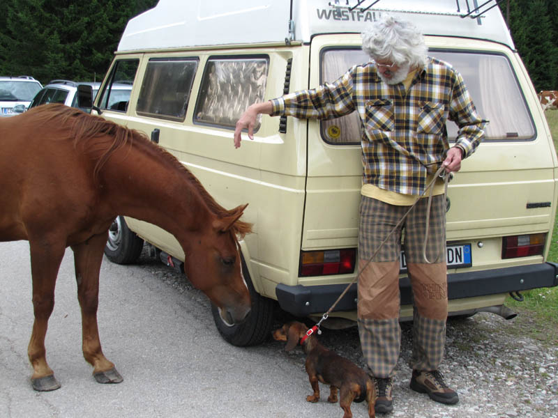 File allegato: