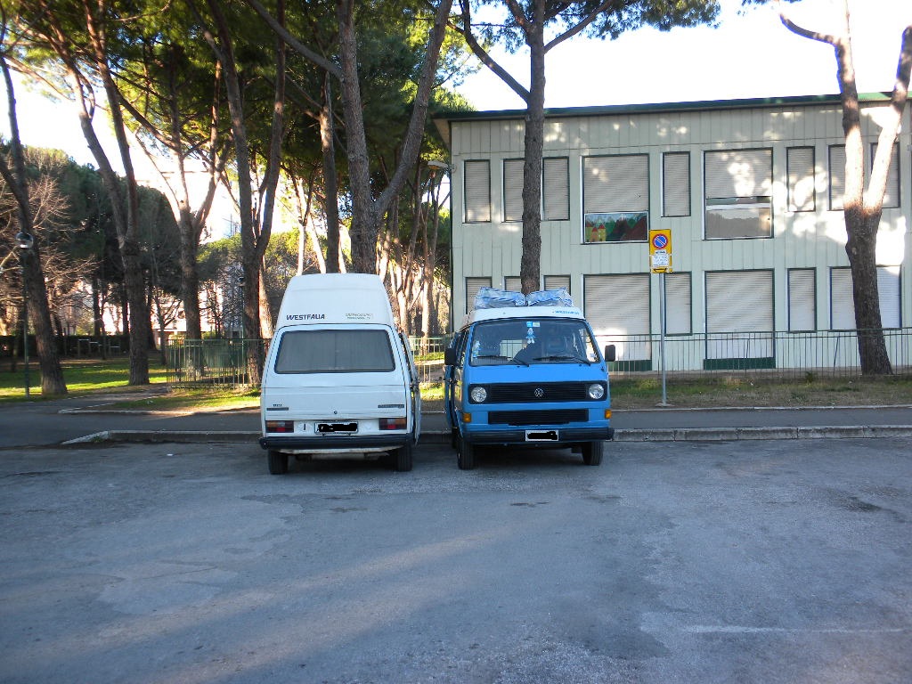File allegato: