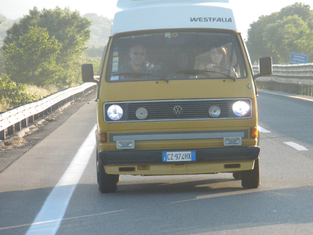 File allegato: