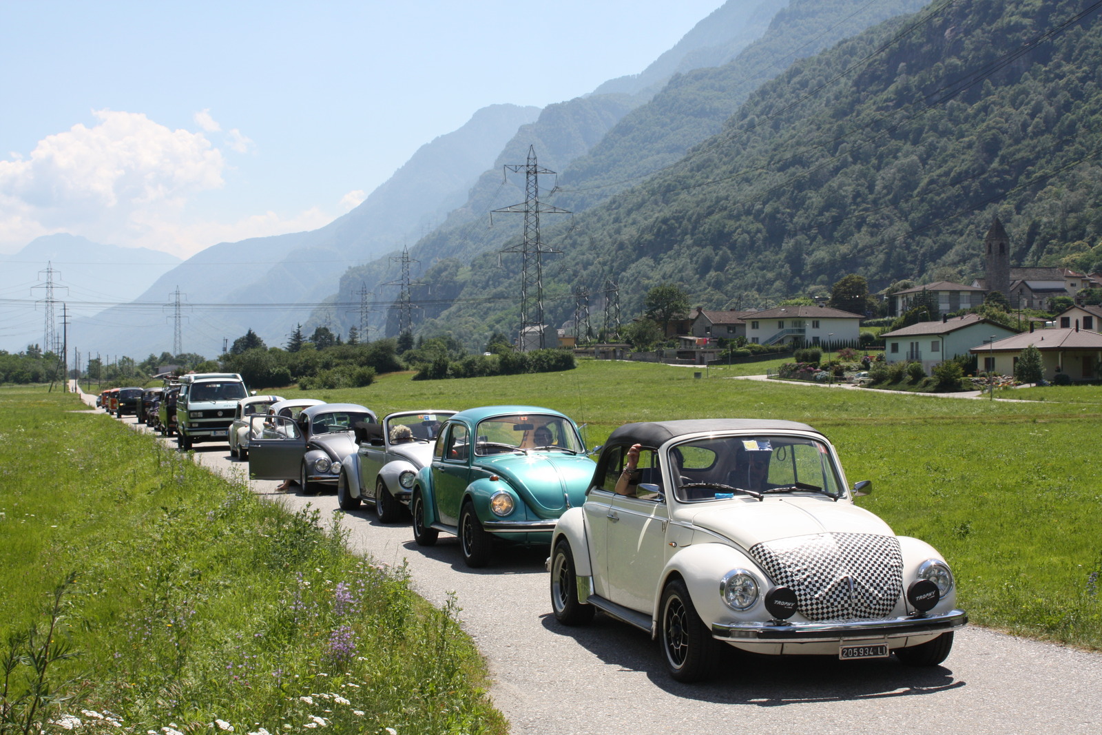 File allegato:
