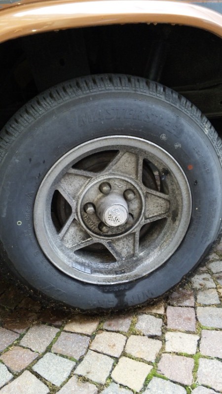 File allegato: