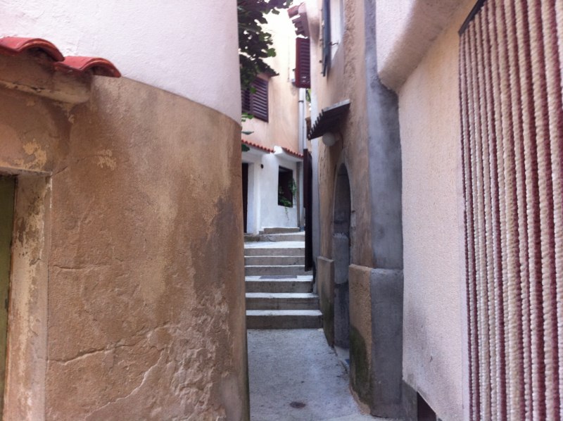 File allegato: