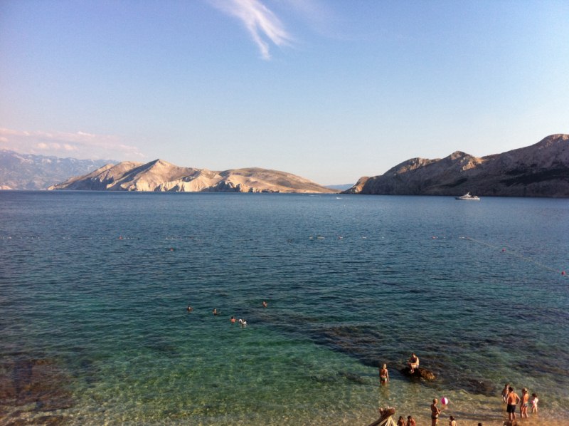 File allegato: