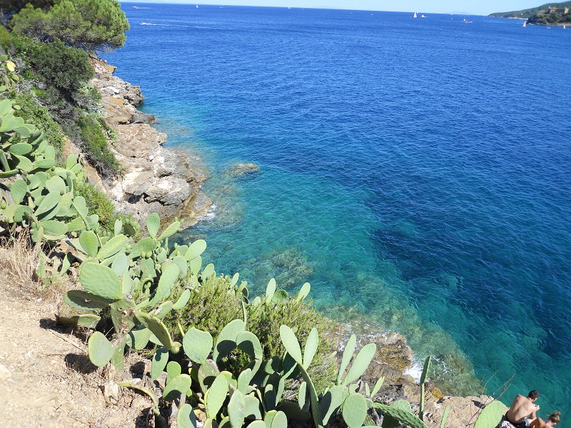 File allegato: