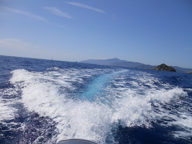 File allegato:
