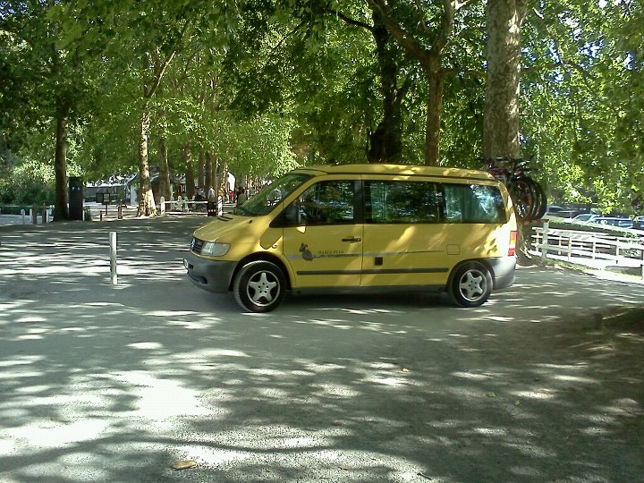 File allegato: