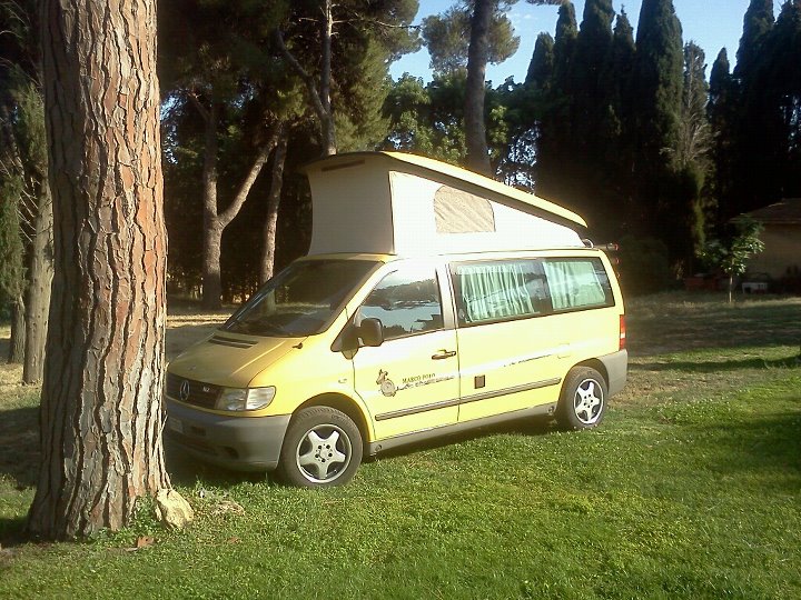 File allegato: