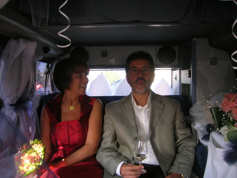 File allegato:
