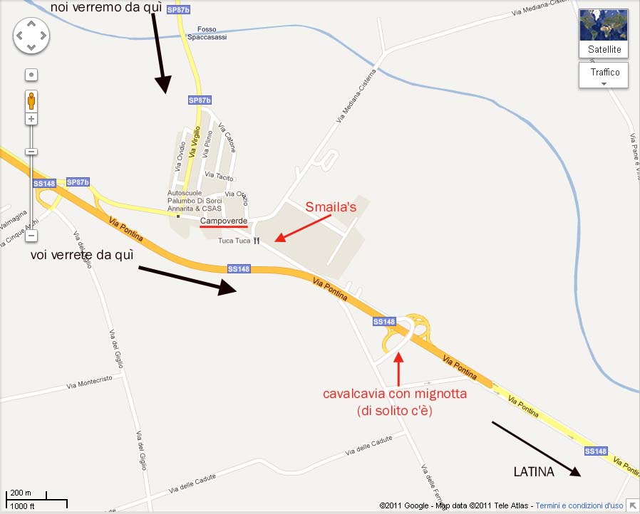 File allegato: