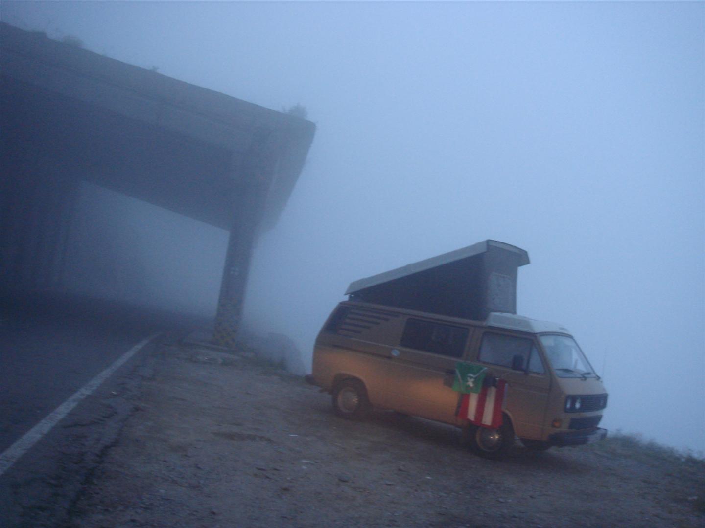 File allegato: