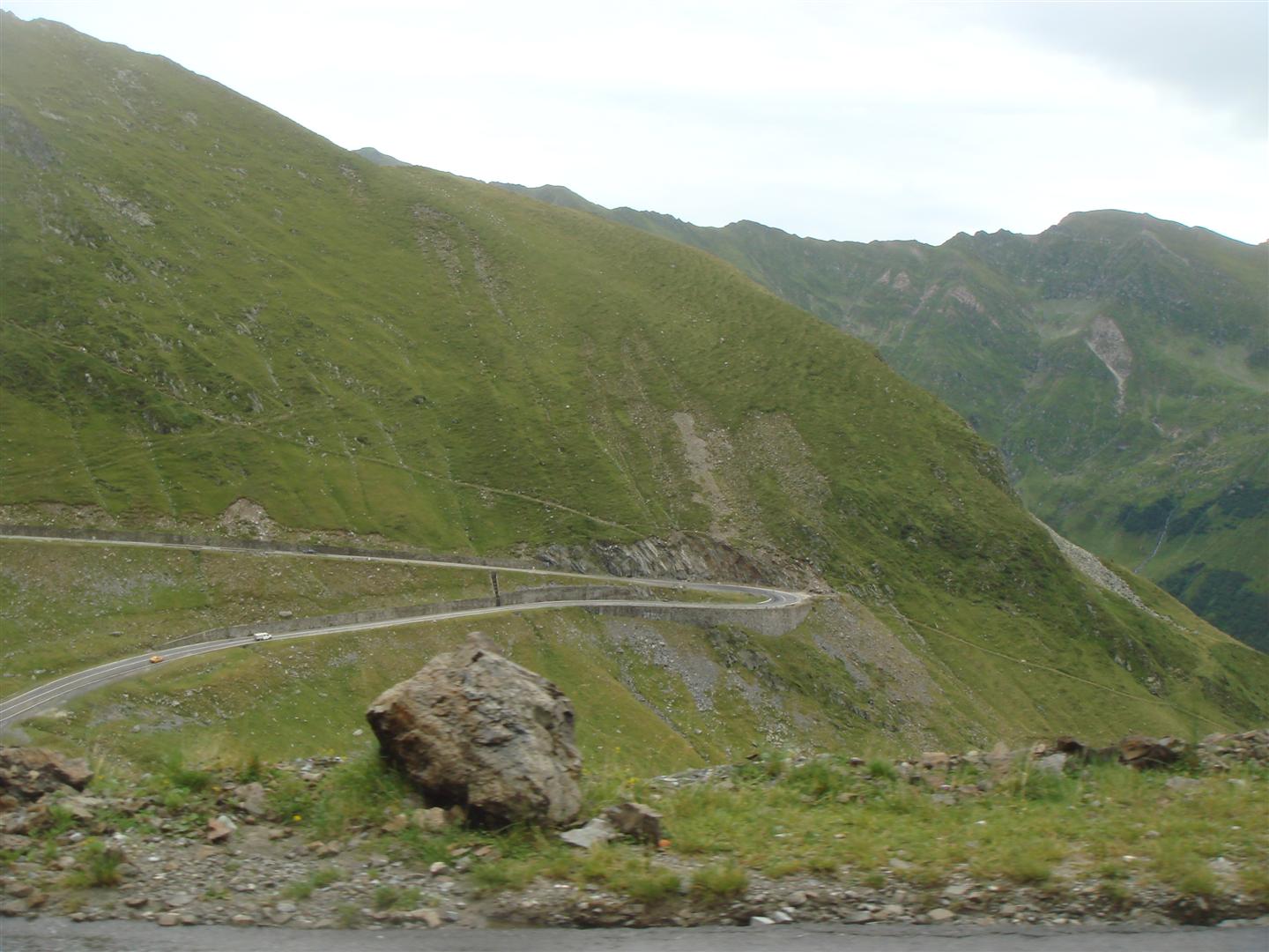 File allegato: