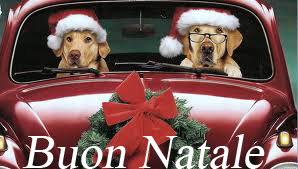 File allegato: