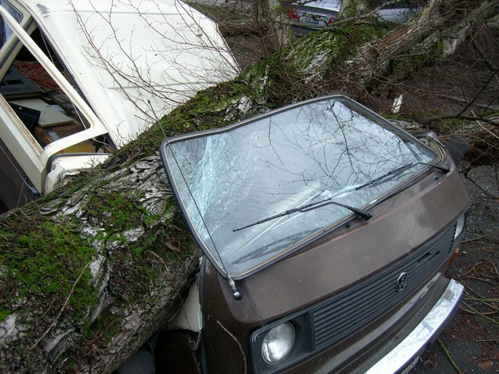 File allegato: