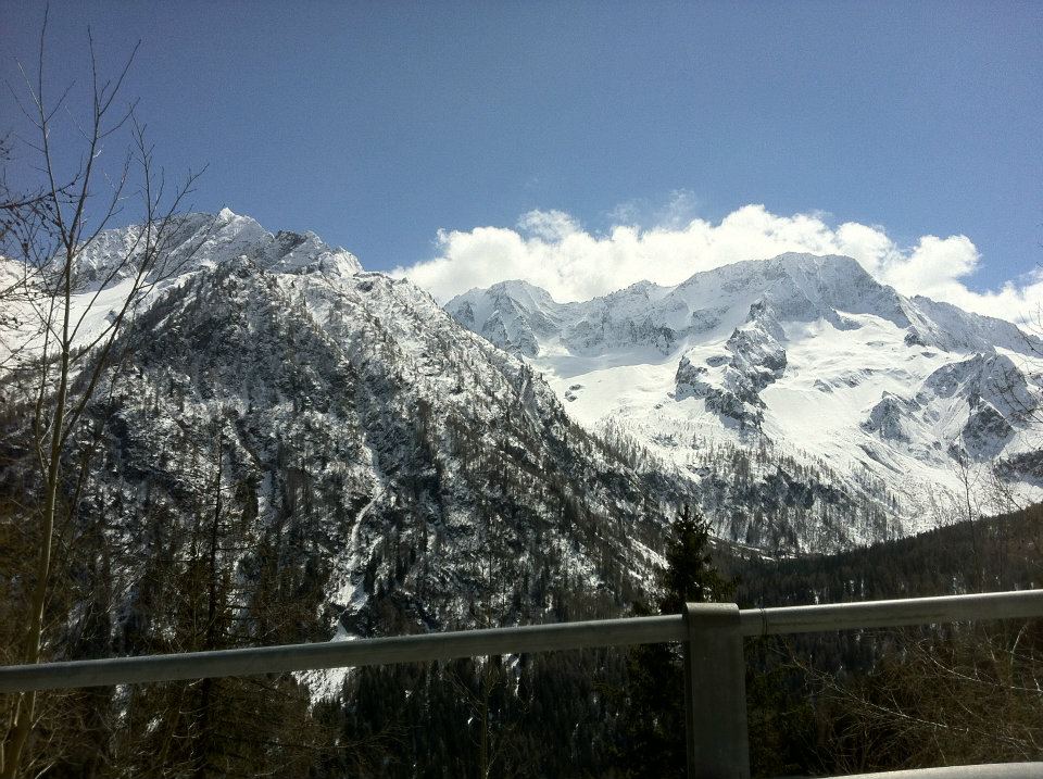 File allegato: