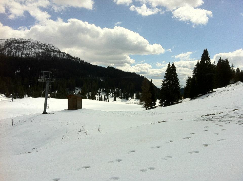 File allegato:
