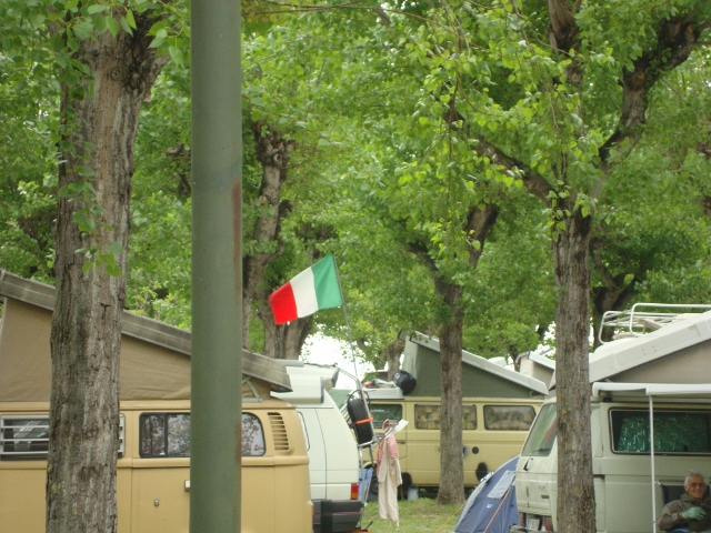 File allegato: