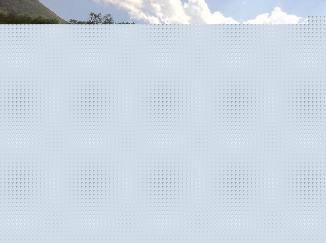 File allegato: