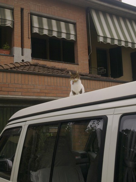 [img