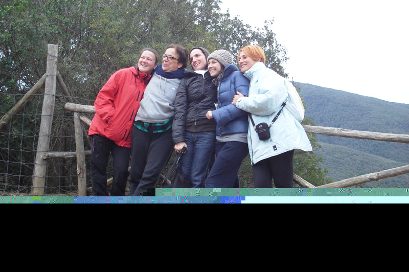 File allegato: