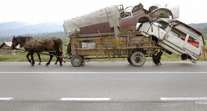 File allegato: