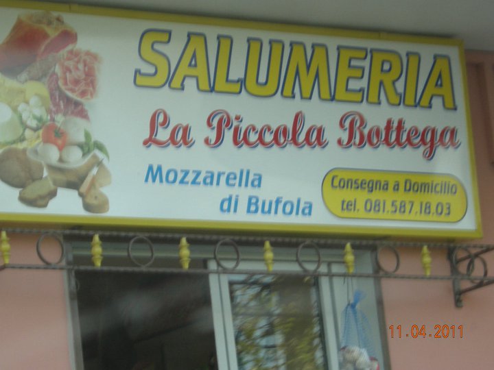File allegato: