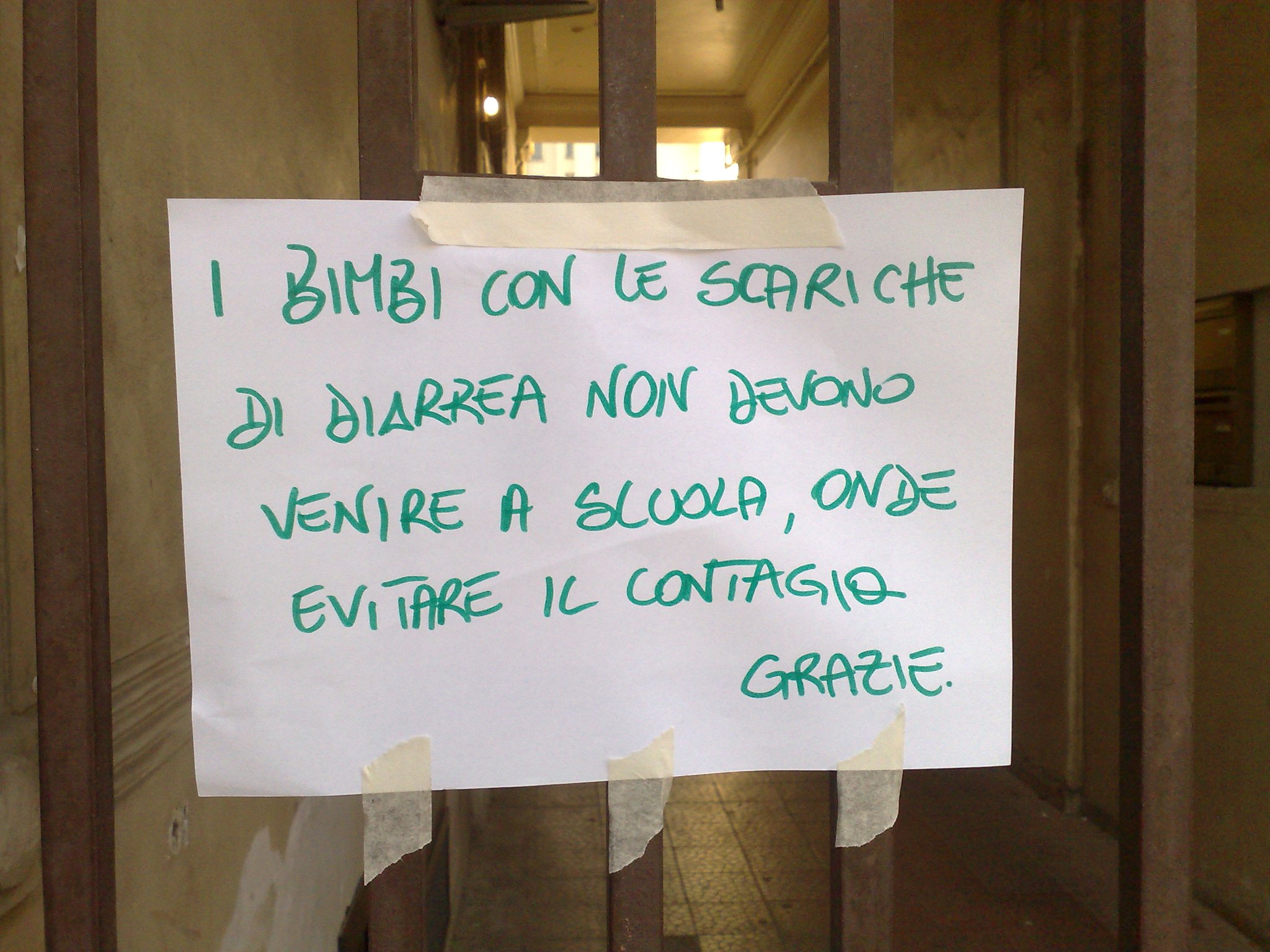 File allegato: