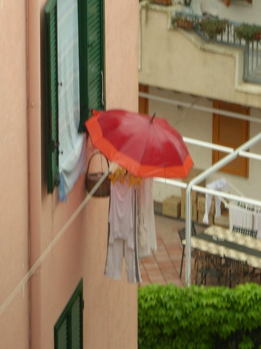 File allegato: