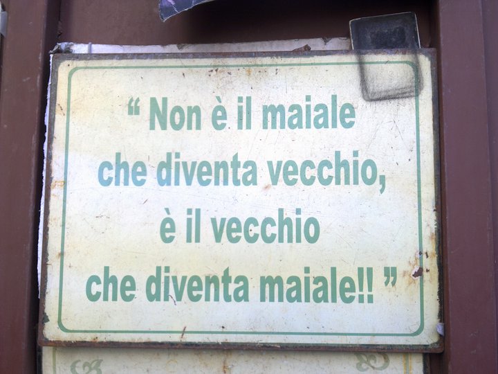 File allegato: