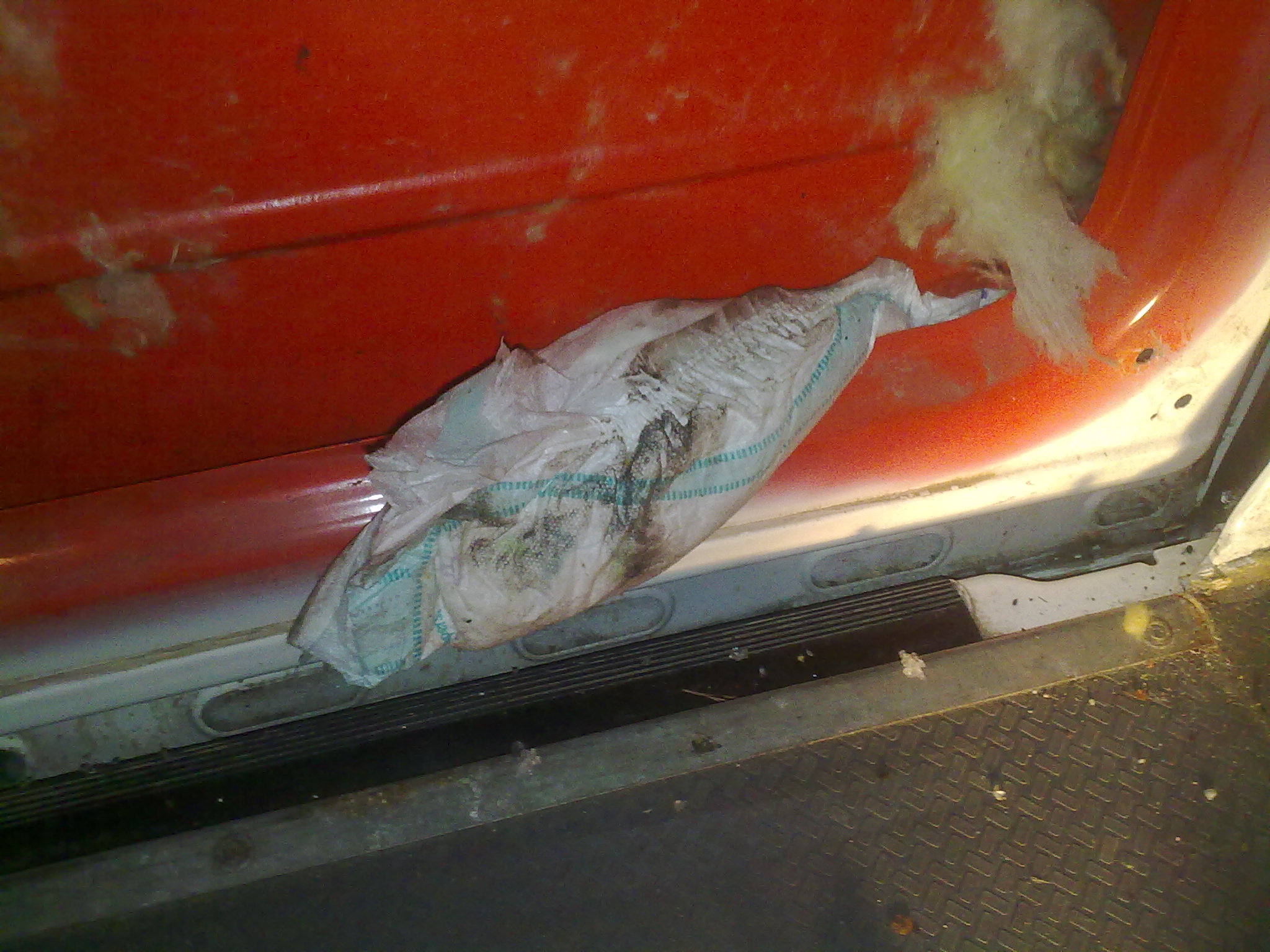 File allegato:
