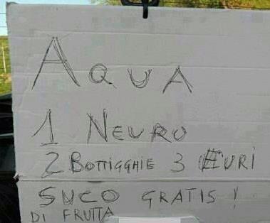 File allegato: