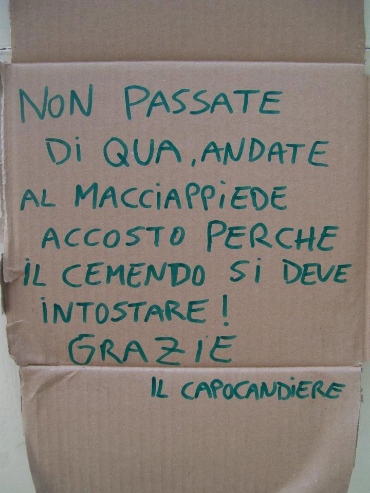 File allegato: