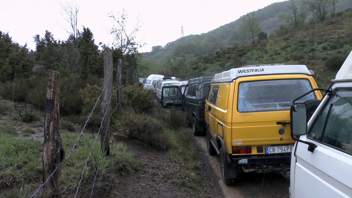 File allegato: