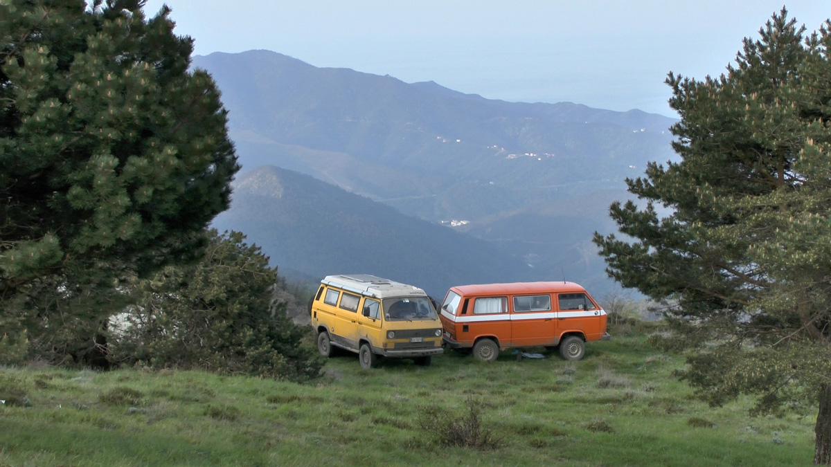File allegato: