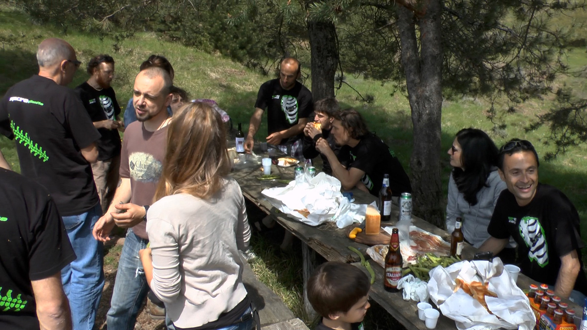 File allegato: