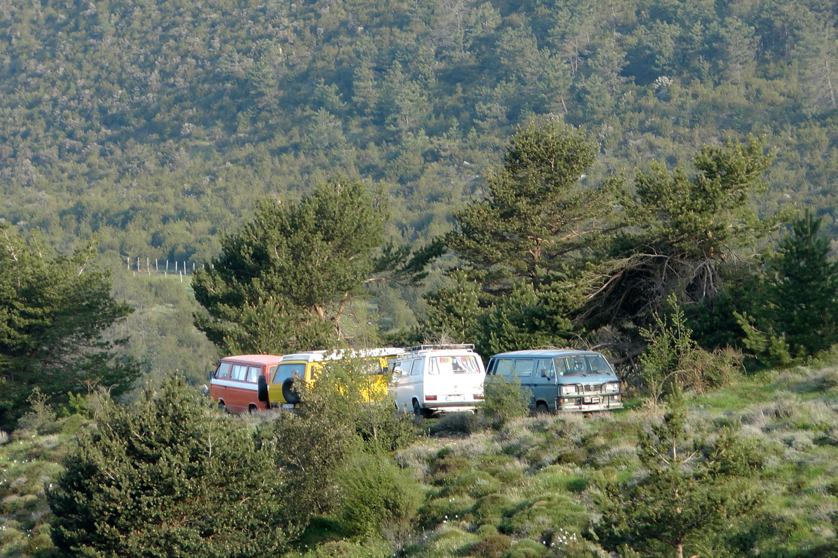 File allegato: