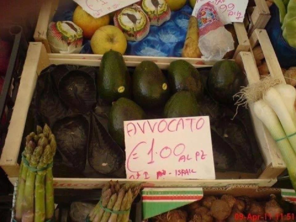File allegato: