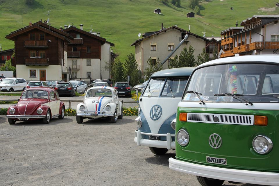 File allegato: