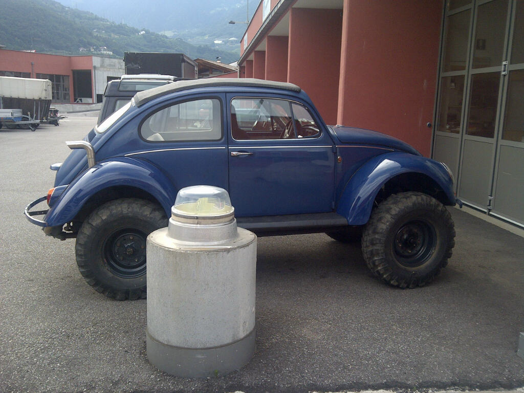 File allegato: