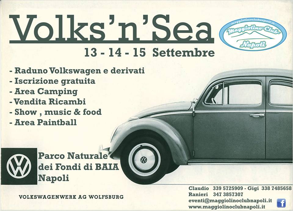 File allegato: