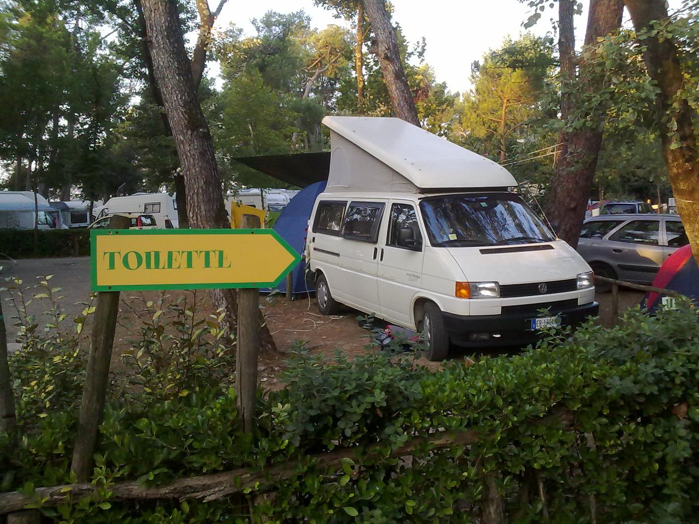 File allegato: