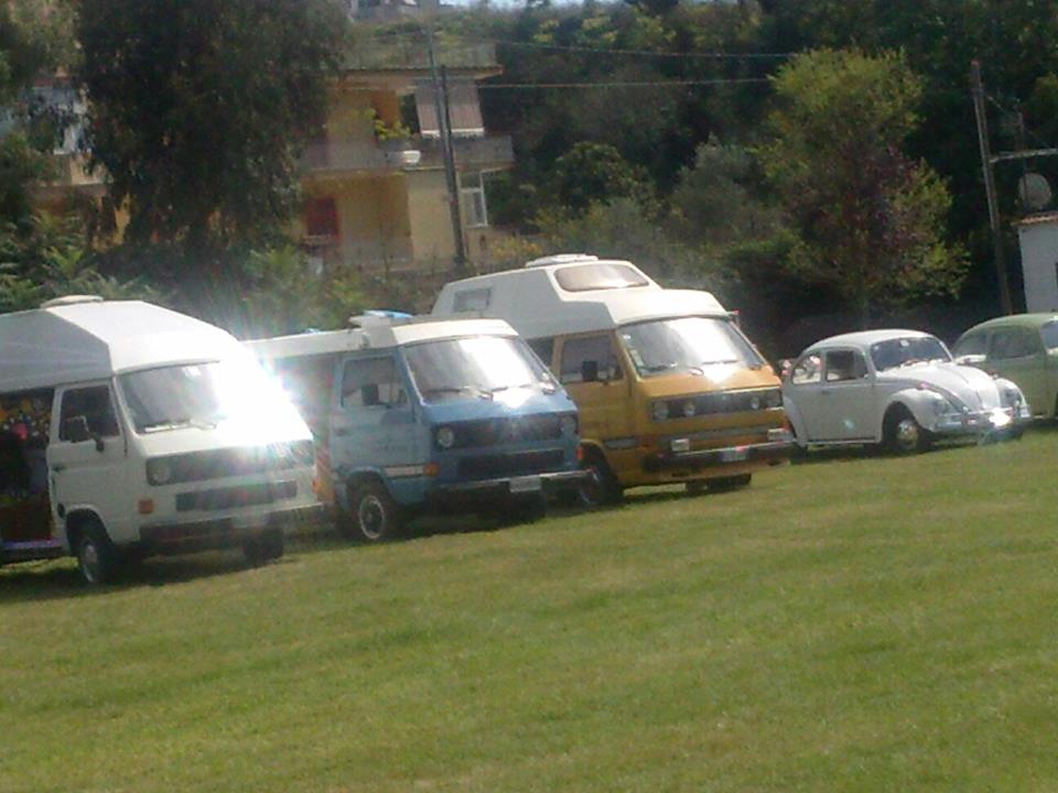 File allegato: