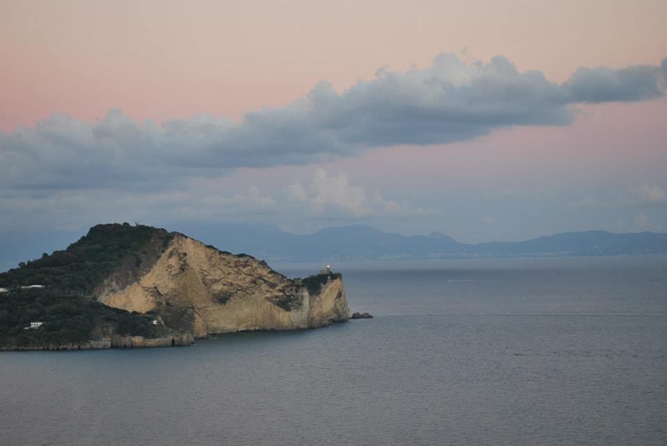 File allegato: