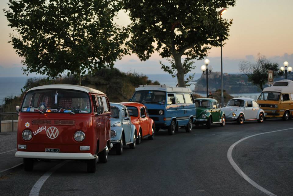 File allegato:
