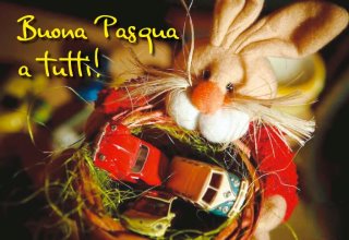 File allegato:
