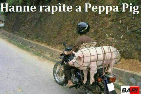 File allegato: