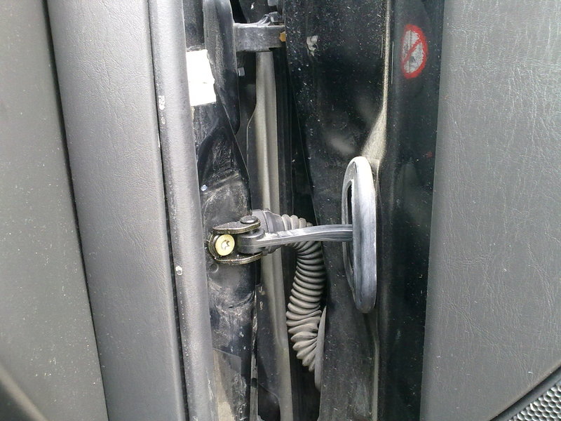 File allegato: